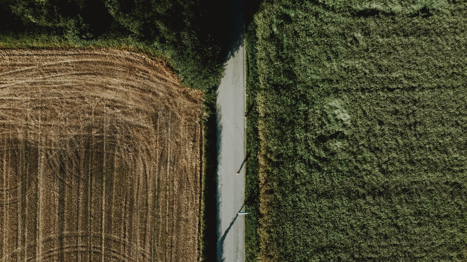 Agriculture context — fields and seasons
